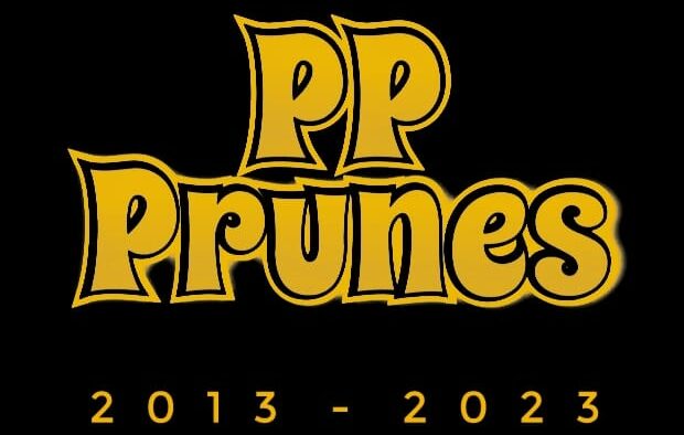 PP Prunes : Groupe Rock Chanson française Pop-Rock Midi-Pyrénées - Aveyron (12)