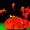 Al Andalus Flamenco Nuevo : AL ANDALUS FLAMENCO NUEVO - FESTIVAL LYON