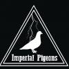Imperial Pigeons, du blues du rock de la sueur... a produit ses 3 premiers titres avec Paul Montesino en octobre 2018 au studio Gamme (Clamart - 92). 

300 exemplaires seulement de ce disque sont édités en cd, ils s'écoulent déjà grande vitesse !