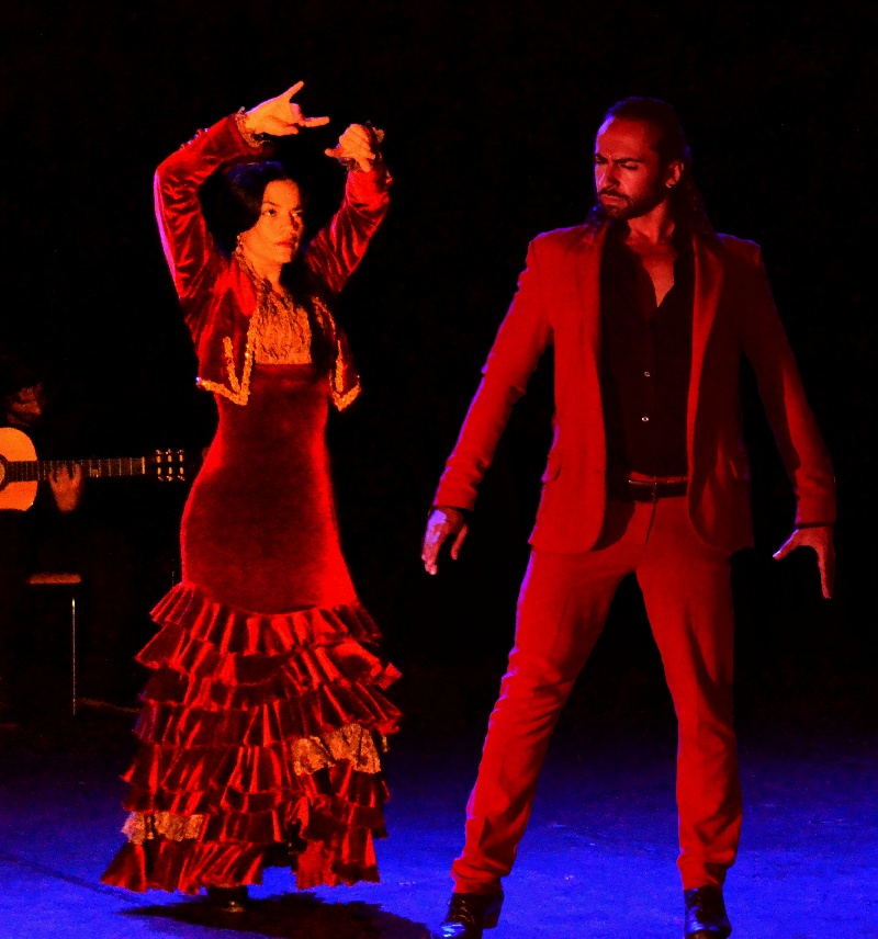 AL ANDALUS FLAMENCO NUEVO - FESTIVAL D'AVIGNON - Al Andalus Flamenco Nuevo