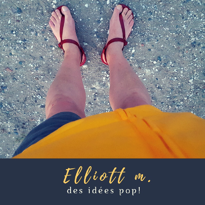 Des idées pop - Elliott M.