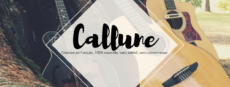 Callune : Callune en concert à Peaugres (07) | Info-Groupe