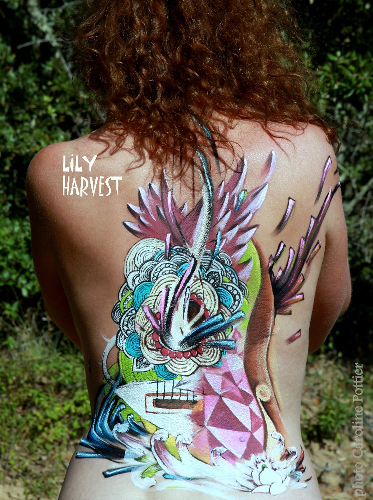 Lily Harvest : EP  | Info-Groupe