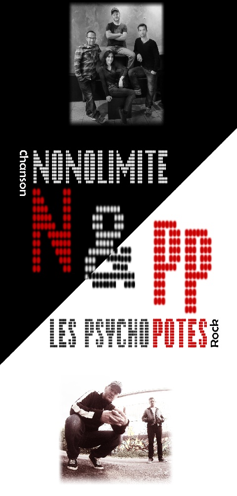 Nonolimite & Les Psycho Potes : Groupe Rock Chanson Swing Alternatif Champagne-Ardenne - Marne (51)