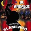Al Andalus Flamenco Nuevo : AL ANDALUS - VIDEO DVD