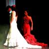 Al Andalus Flamenco Nuevo : FLAMENCO LYON DANSE AL ANDALUS FLAMENCO LYON DANCE