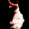 Al Andalus Flamenco Nuevo : FLAMENCO LYON DANSE AL ANDALUS FLAMENCO LYON DANCE