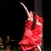 Al Andalus Flamenco Nuevo : AL ANDALUS FLAMENCO NUEVO: 12/13/14 Avril - BATACLAN PARIS