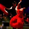 Al Andalus Flamenco Nuevo : AL ANDALUS FLAMENCO NUEVO