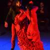 Al Andalus Flamenco Nuevo : AL ANDALUS FLAMENCO NUEVO - FESTIVAL D'AVIGNON