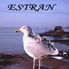 Estran : Photo 3