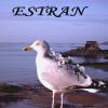 Estran