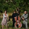 Garden Swing : Garden Swing