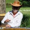 Redneck Steel Riders : J-Mi Pedalsteel guitar player 