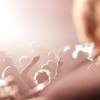 Smart Music : Orchestre Animation Evénement Corporate: Smart Music
