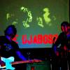 The Djaboss : The djaboss
