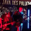 The Djaboss : La java des paluches the djaboss