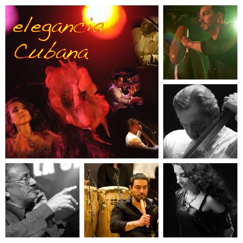 Un spectacle glamour, cosy, latin jazzy - Concept Spectacles