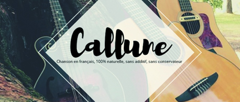 Photo concert Musicale de St Fortunat Saint-Fortunat-sur-Eyrieux Callune