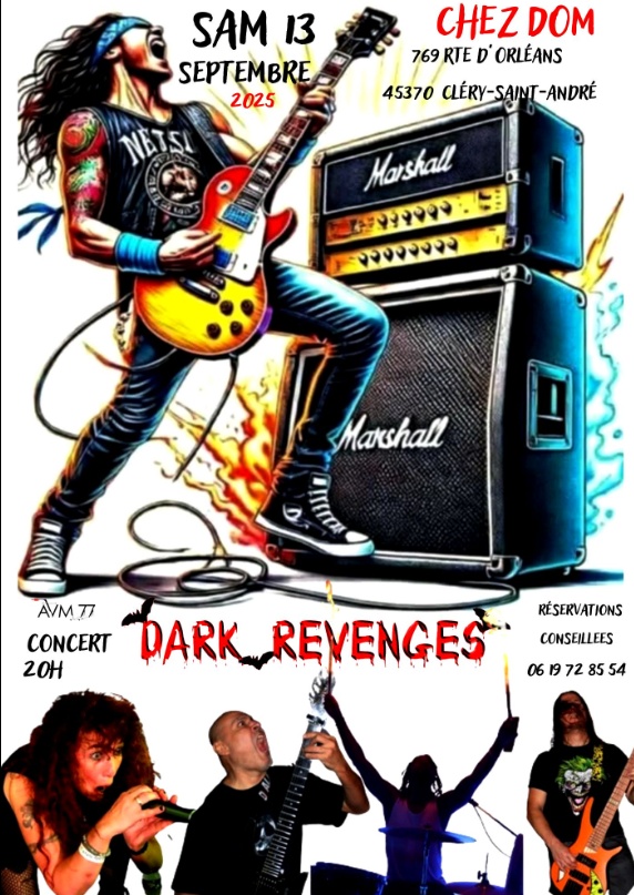 Photo concert LIVE CHEZ DOM Cléry-Saint-André Dark Revenges