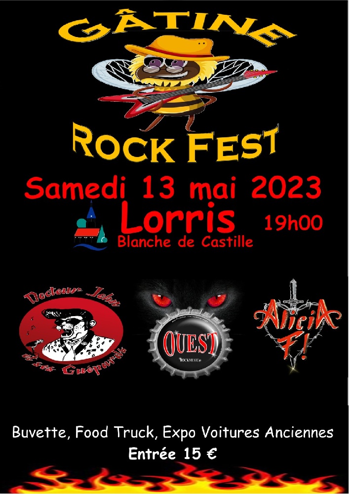 Photo concert FESTI GATINE Lorris Docteur John et ses Guépards