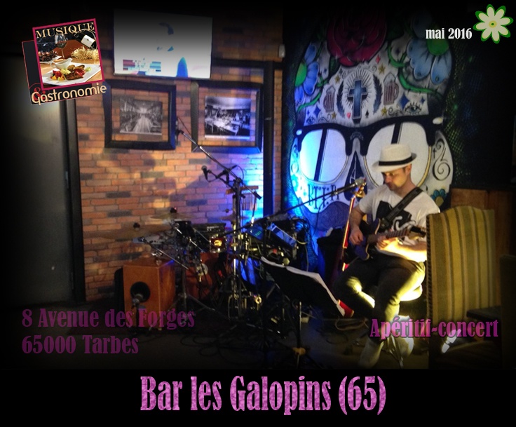Photo concert Bar les Galopins Tarbes Kameleon
