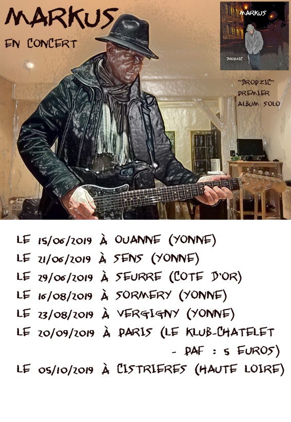 Photo concert Bourgogne Vap & concerts Seurre Markus