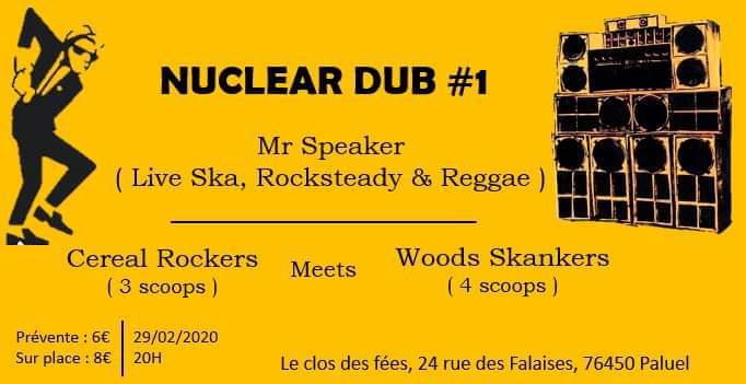Photo concert Nuclear Dub #1 Paluel Mr Speaker