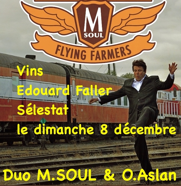 Photo concert VINS Edouard FALLER Sélestat M.Soul