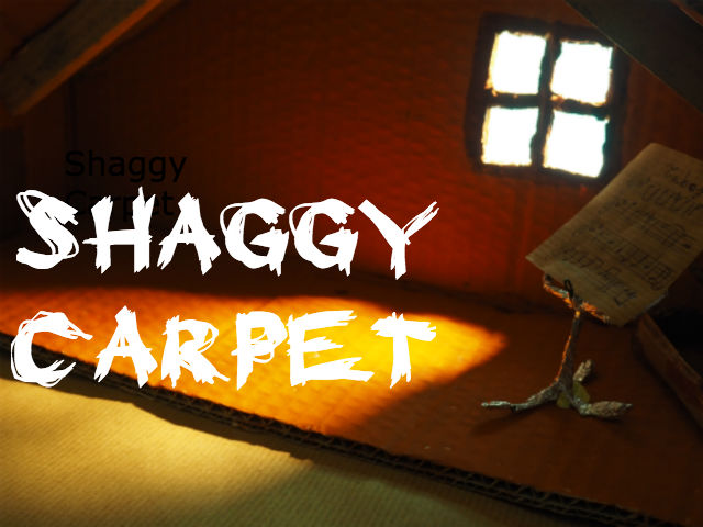 Carpet Shaggy
